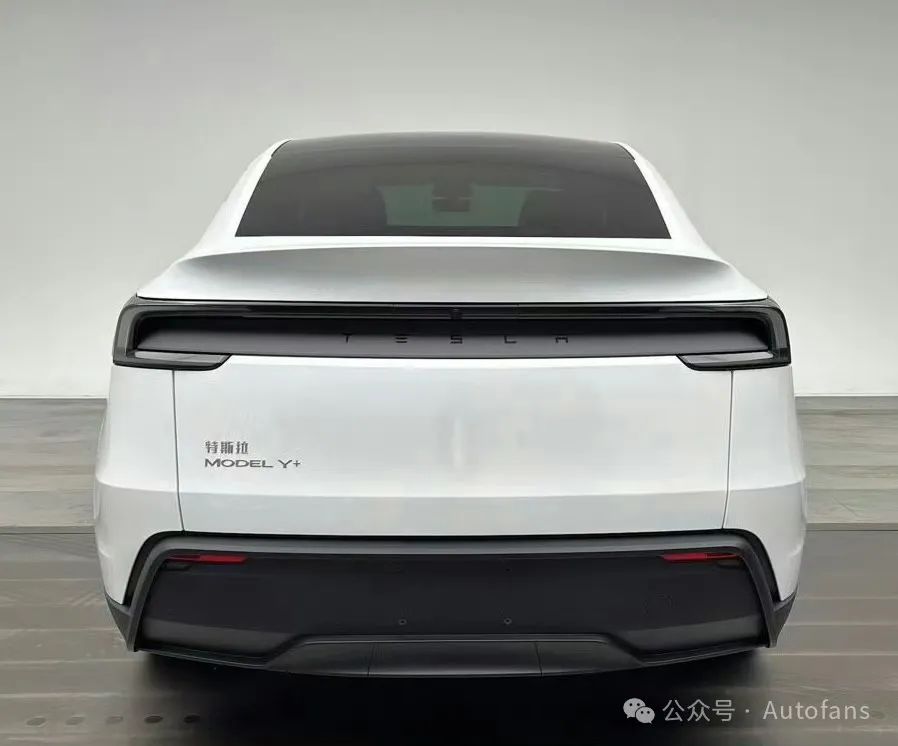 Tesla Model Y in Action