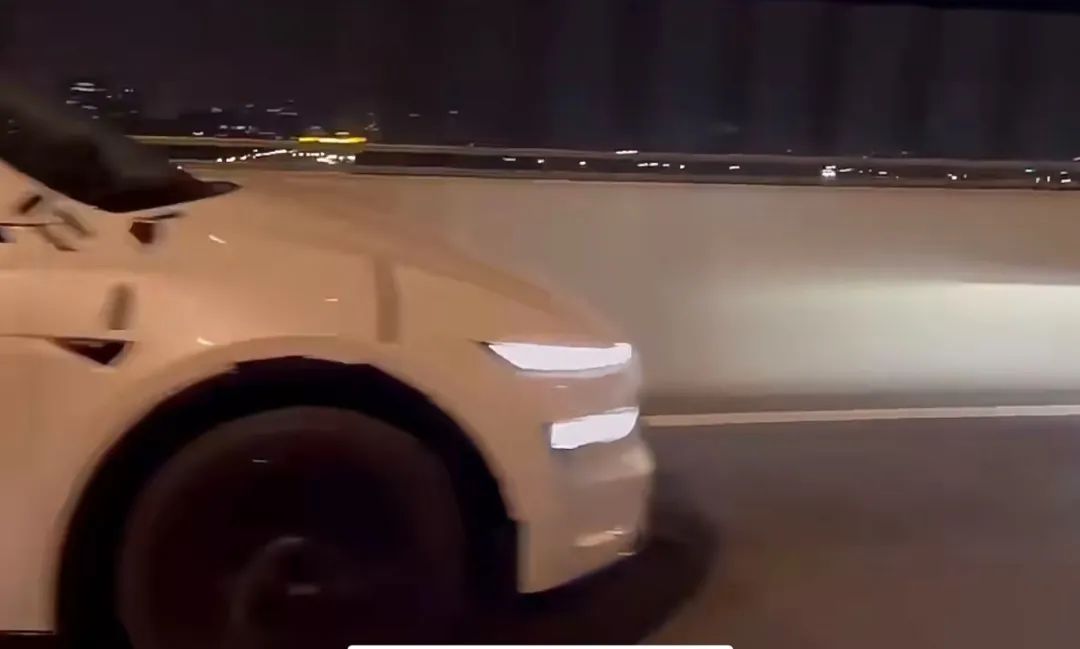 Tesla Model Y Image 5