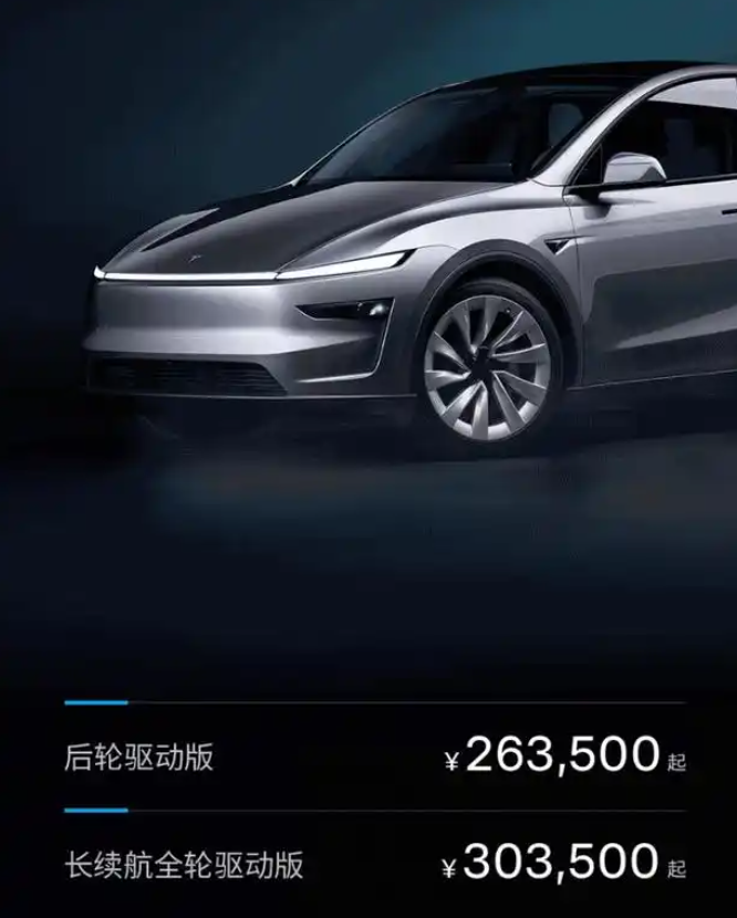 Tesla Model Y Performance