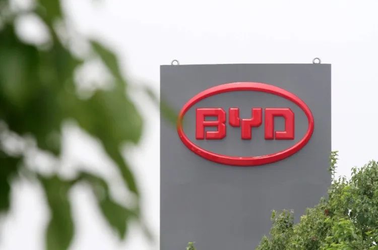 BYD cars on display