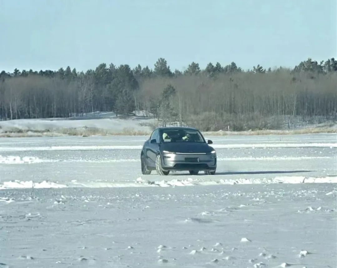 Image 2 of Tesla Model Y