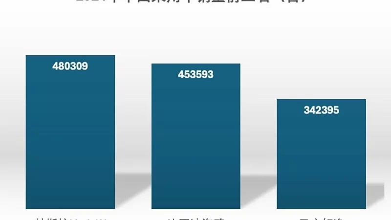 Behind the Down Payment of Less Than 80,000 Yuan: How Tesla Will Begin Its New Chapter in 2025