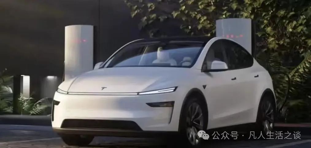 Tesla Model Y Image 3