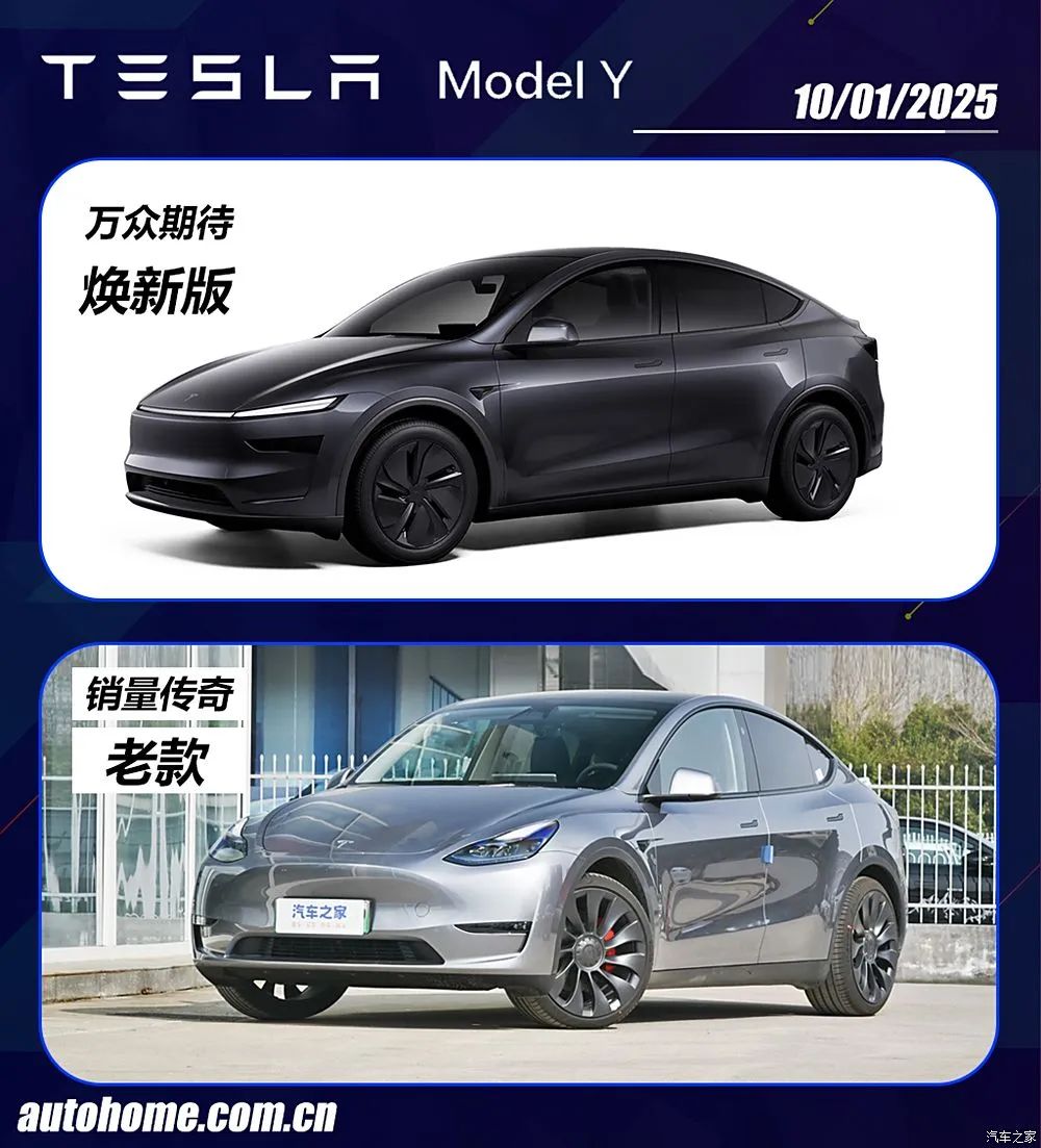 Model Y Features