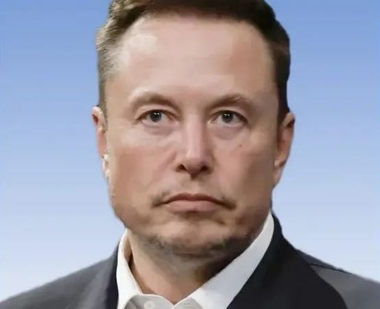 Resume of Comrade Elon Reeve Musk