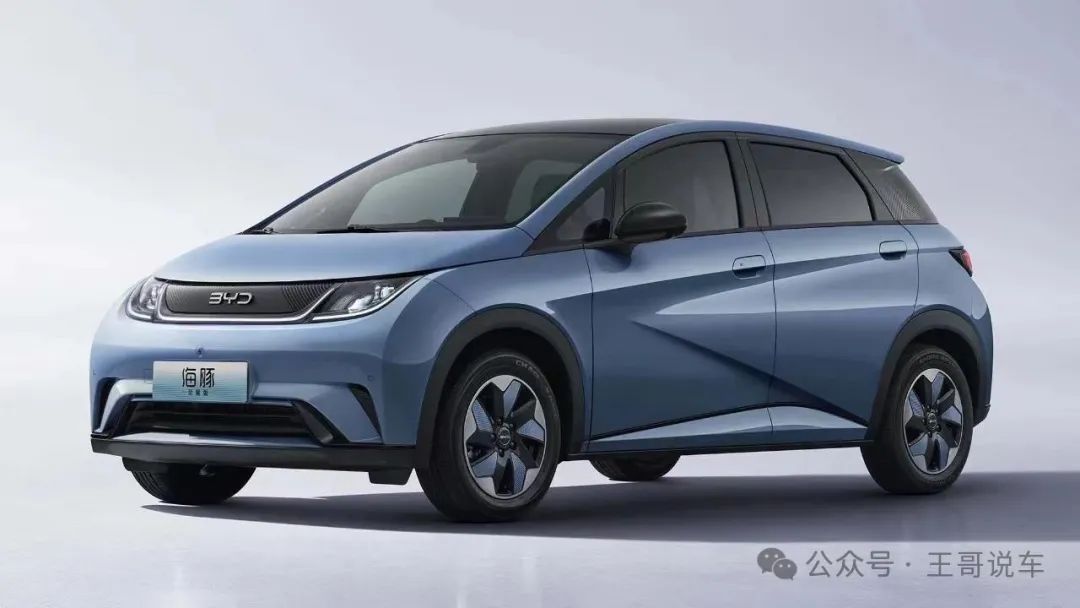 The Future of NEVs