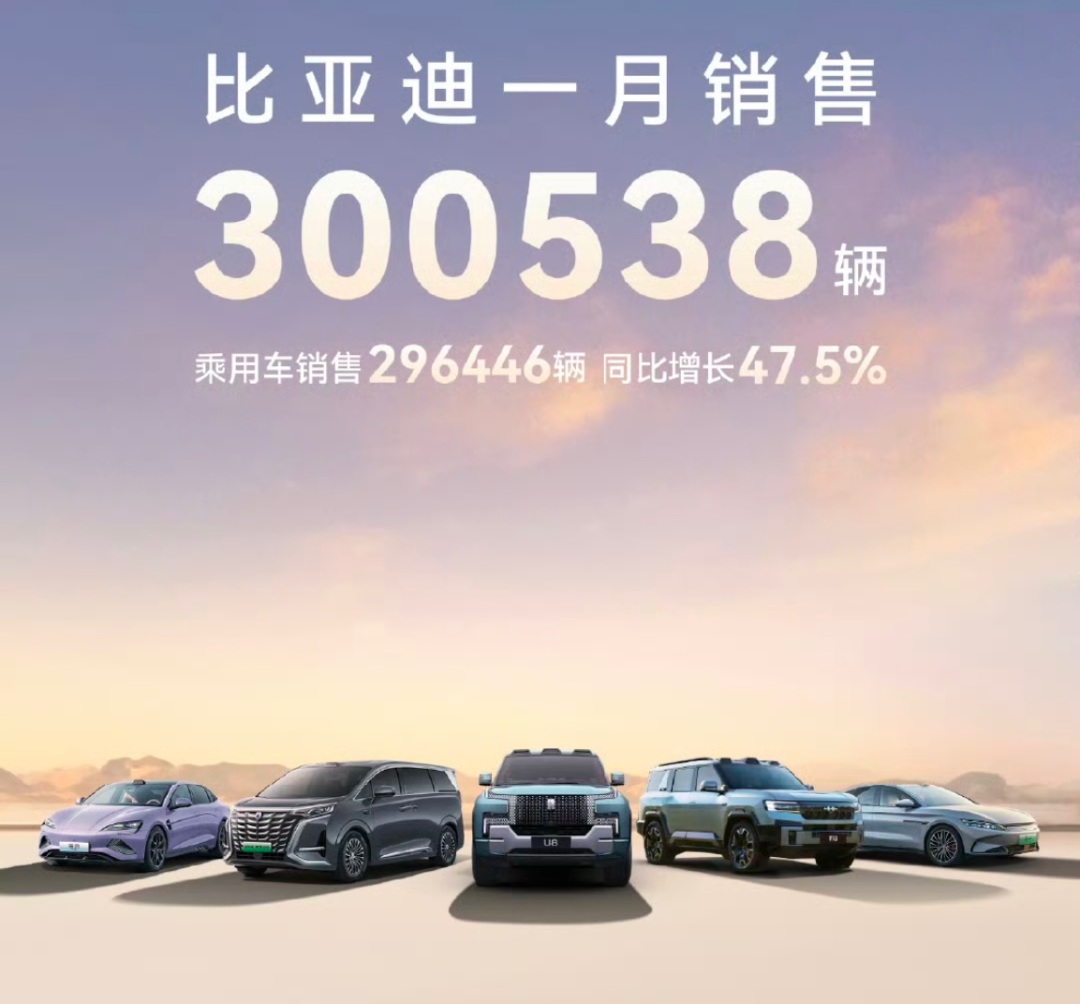 BYD Sales Overview