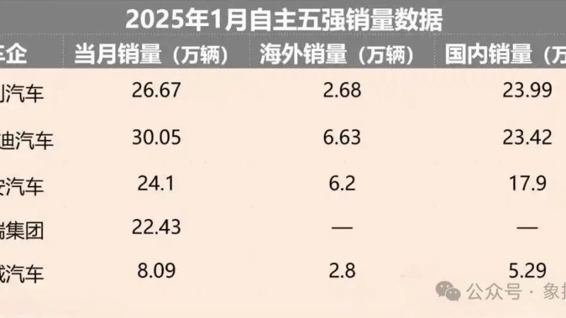 Geely’s Sales Surpass BYD: What is Wang Chuanfu Most Worried About?