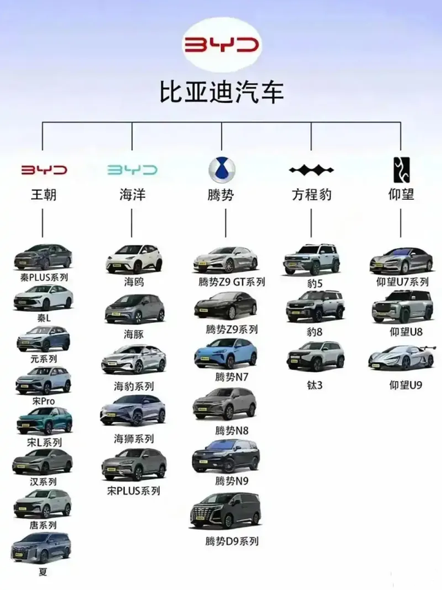 BYD Model