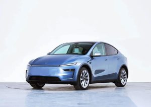 Tesla’s Sole Strategy in China for 2025: A Dangerous Game of Price Cuts?
