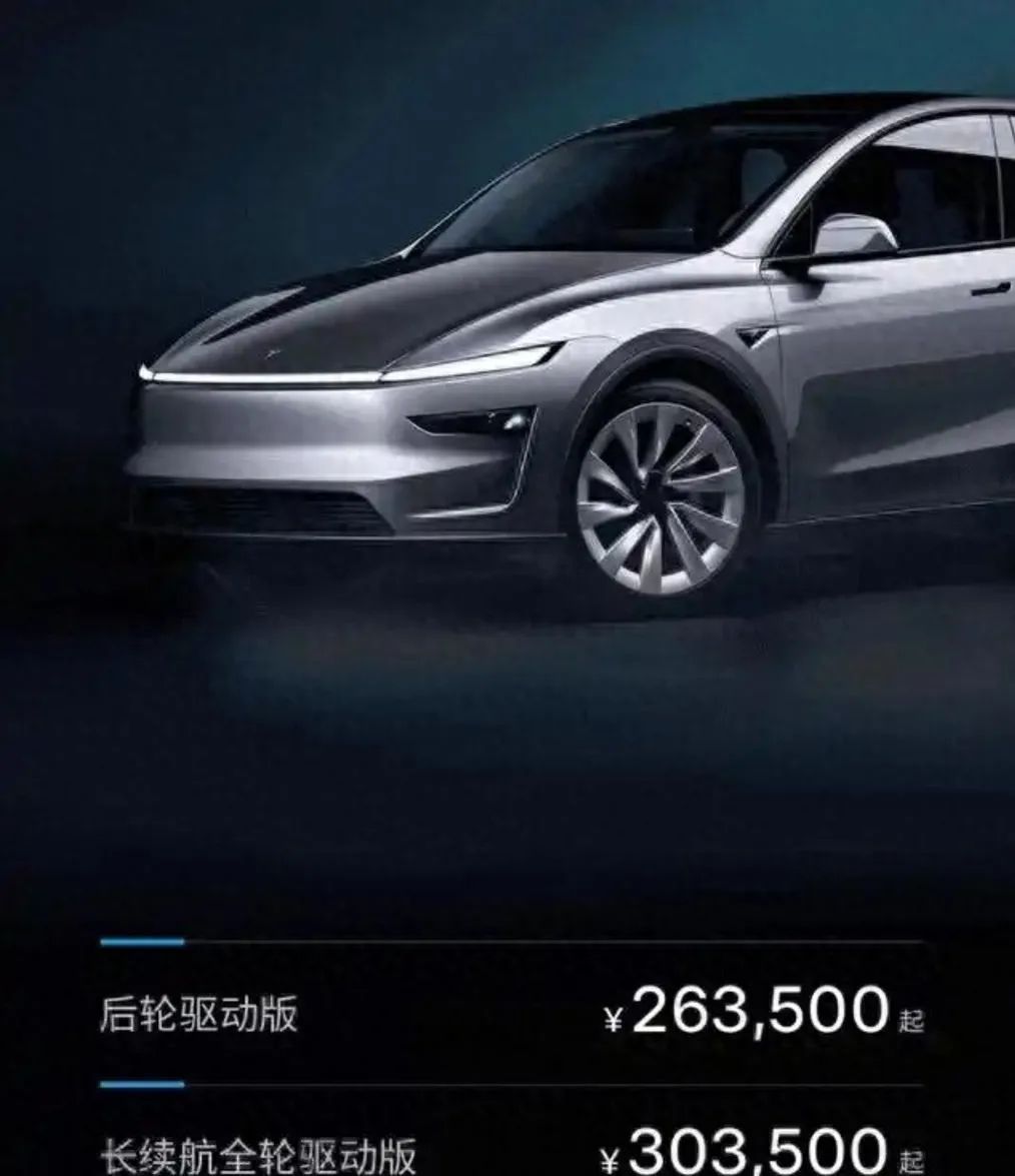 Tesla Model Y Features