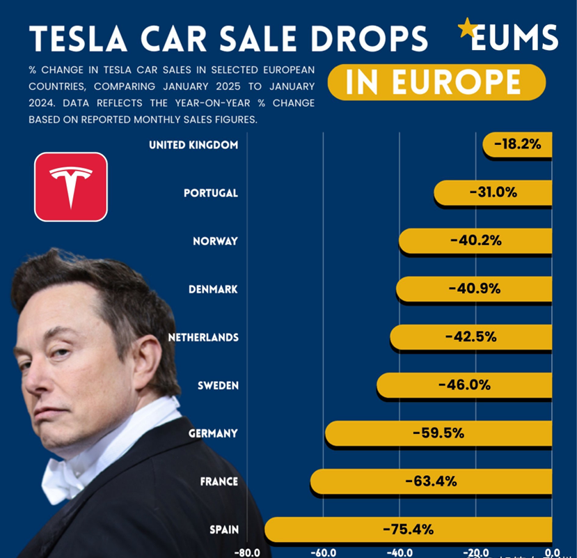 Graph Showing Tesla's Performance