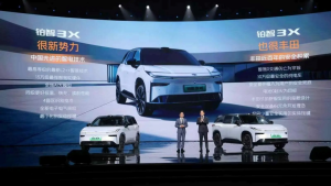 The First Batch of Buyers Who Opted for Smart Driving: Who Is Having Regrets?