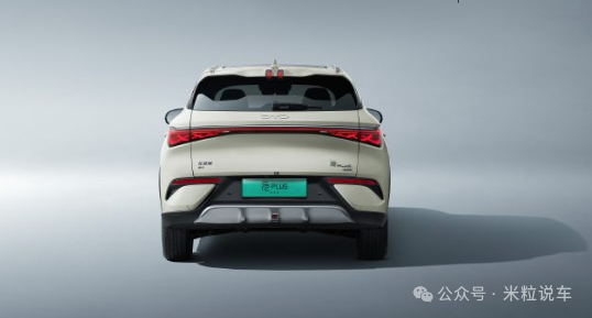 BYD New SUV Image 3