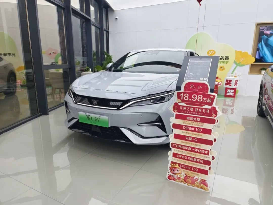 BYD Sales Strategy